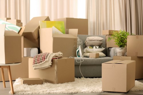 Professional packing materials suitable for fragile items and office relocation
