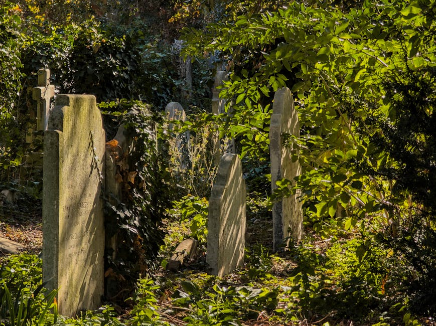 A row of old weathered gravestone markers in a cemetery, partially obscured by dense green foliage and bushes. The stones are positioned vertically, some leaning slightly, with visible inscriptions and moss growth. The area appears shaded with sunlight filtering through the leaves, creating dappled light and shadow on the stone surfaces. The surrounding environment is lush and overgrown, indicating a historic burial ground. In the context of house removals or relocation services by Movers Brompton, such scenes may be relevant when discussing the careful packing, planning, or transportation of items related to a home move near established cemeteries or heritage sites, emphasizing the importance of respecting existing landscapes during home relocation processes.
